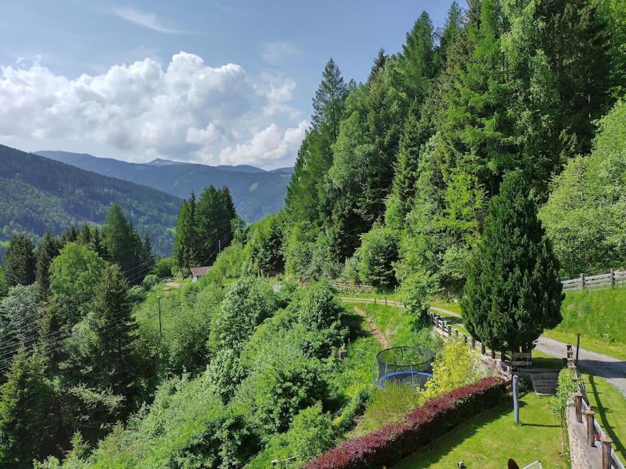 Fw Schnuckel In 300A Altem Bergbauernhaus 1110M Plessnitz Dış mekan fotoğraf